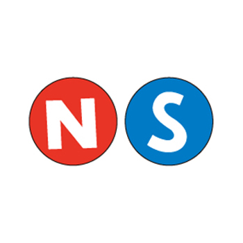 N· S徽章